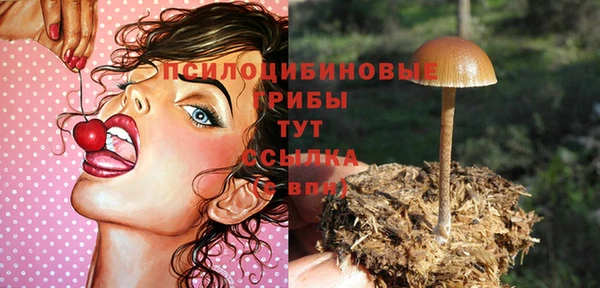 герыч Осинники
