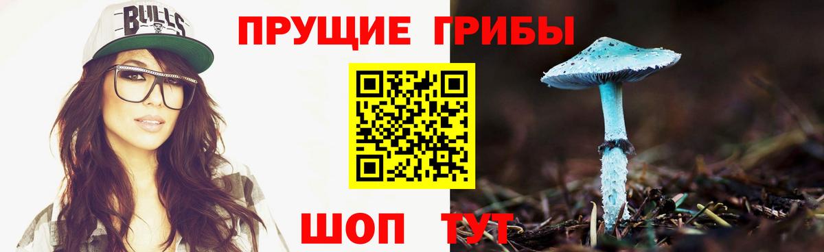 купить наркоту  Вход с VPN  Лениногорск  Галлюциногенные грибы MAGIC MUSHROOMS  Галлюциногенные грибы GOLDEN TEACHER 